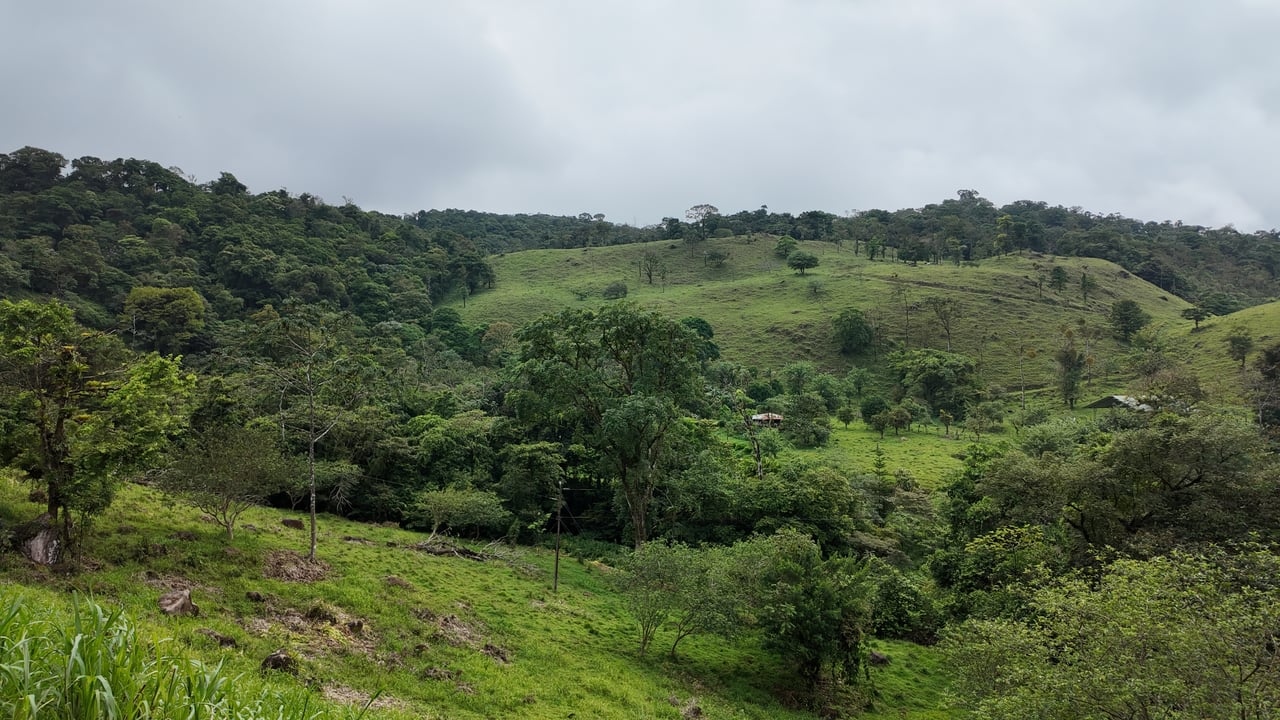10.5 Hectares Rio Celeste - Nature Lover's Dream - Bijagua 