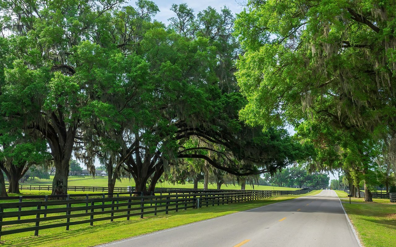 North Fort Myers
