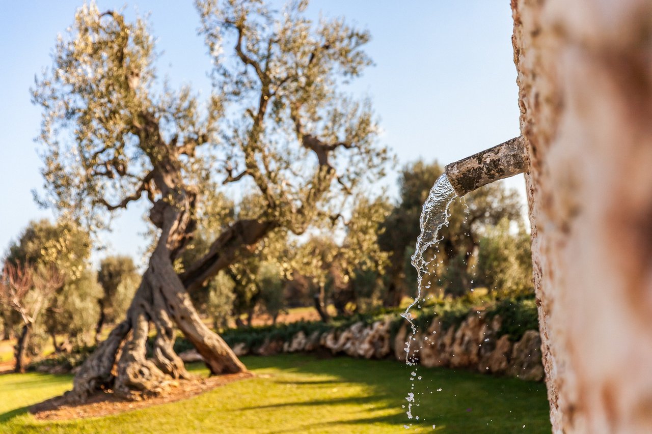 Intimate Villa Surrounded by Olive Trees Near the Town of Fasano