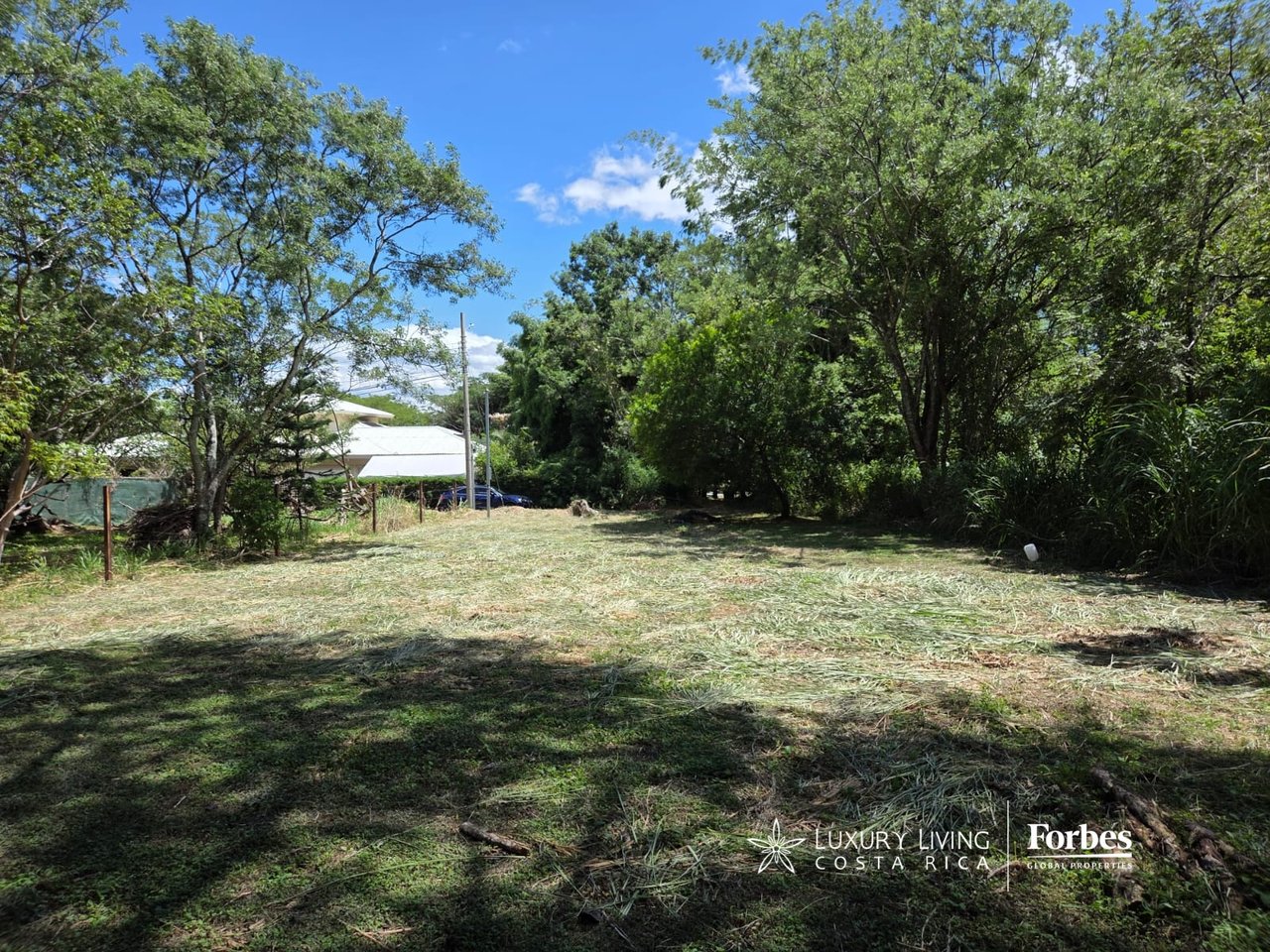 Cleared grassy building lot bordered by mature trees, with neighboring buildings and utility poles nearby.