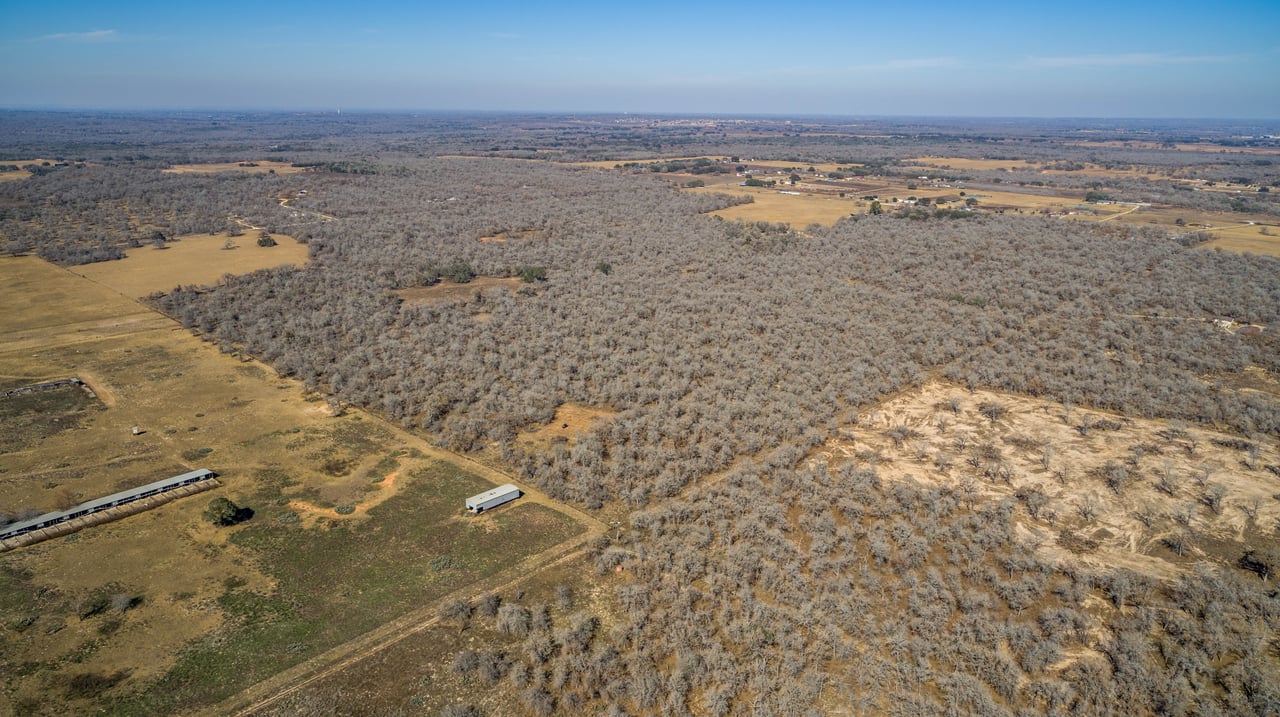 Whispering Pines Floresville Ranch | 298± Acres | Wilson County