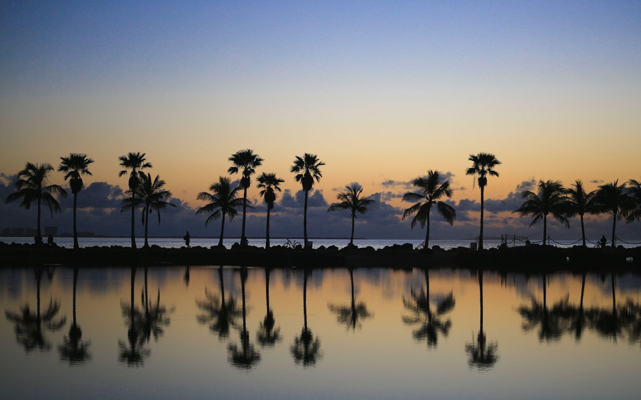 contact-form-background