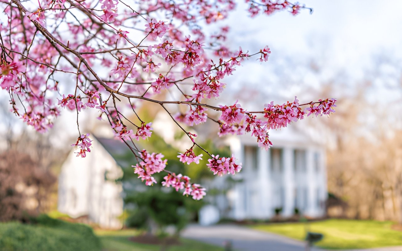 4 Ways To Make an Offer That Stands Out This Spring