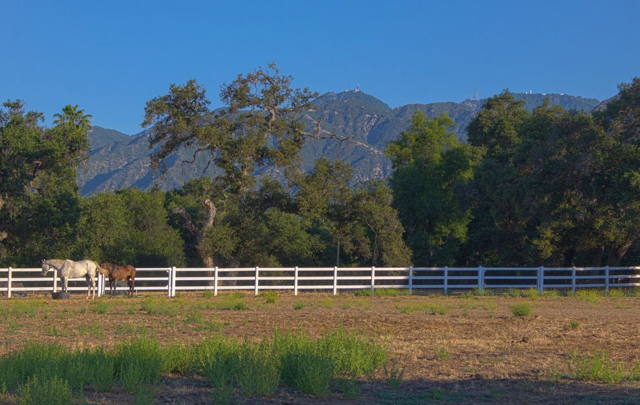Horses beside a white paddock fence with the San Gabriel Mountains behind, shown in the City of Bradbury's photo collection