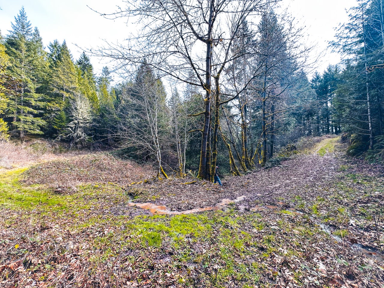 SUTHERLIN HEIGHTS