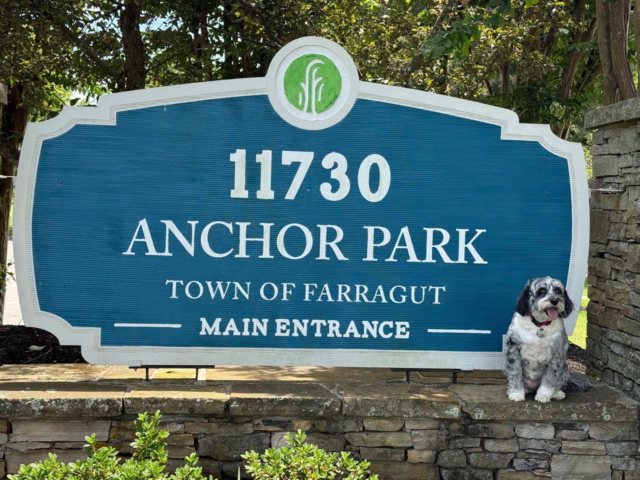 Molly's Favorite Farragut Parks