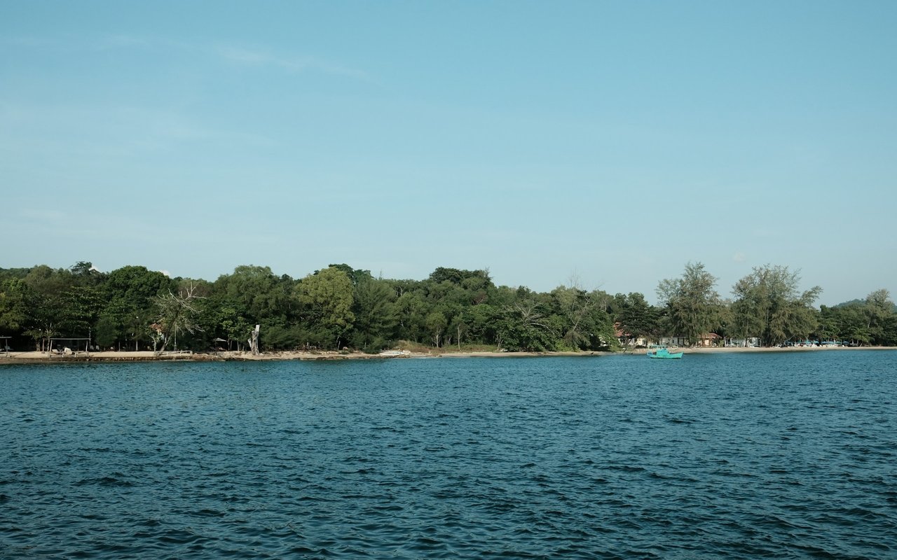 Paddock Lake