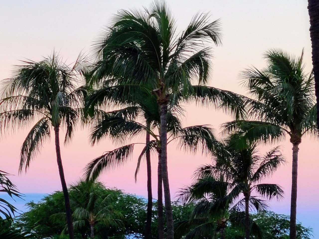 Maui Kaanapali Villas 408