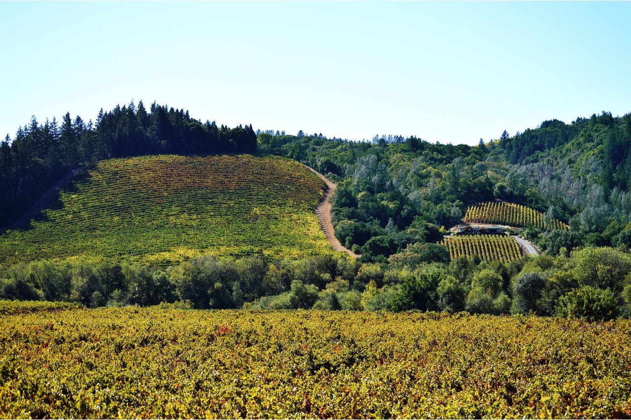 Sonoma County - 2M to 5M