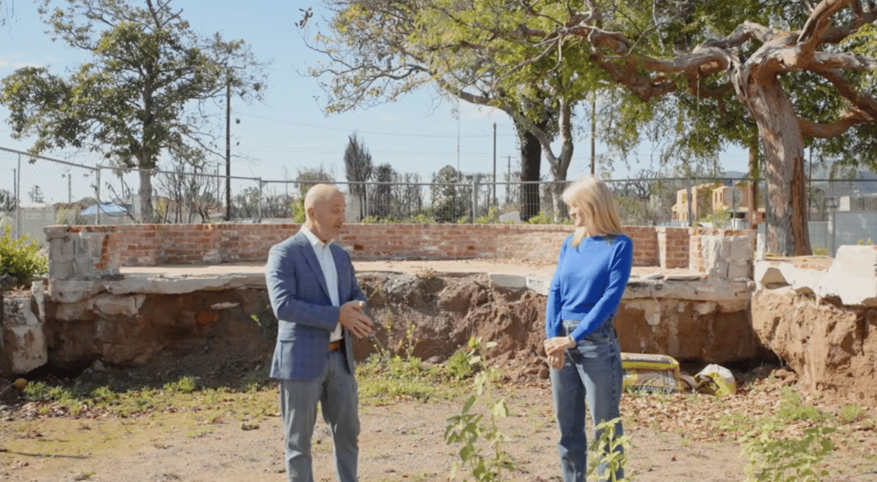 The Seedbomb Project