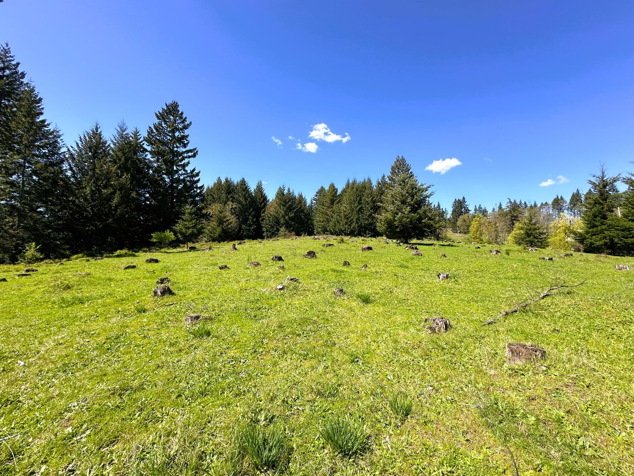 Panther Creek Homestead