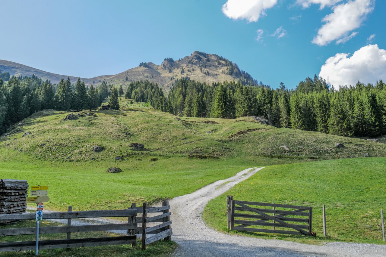 OLD SNOWMASS