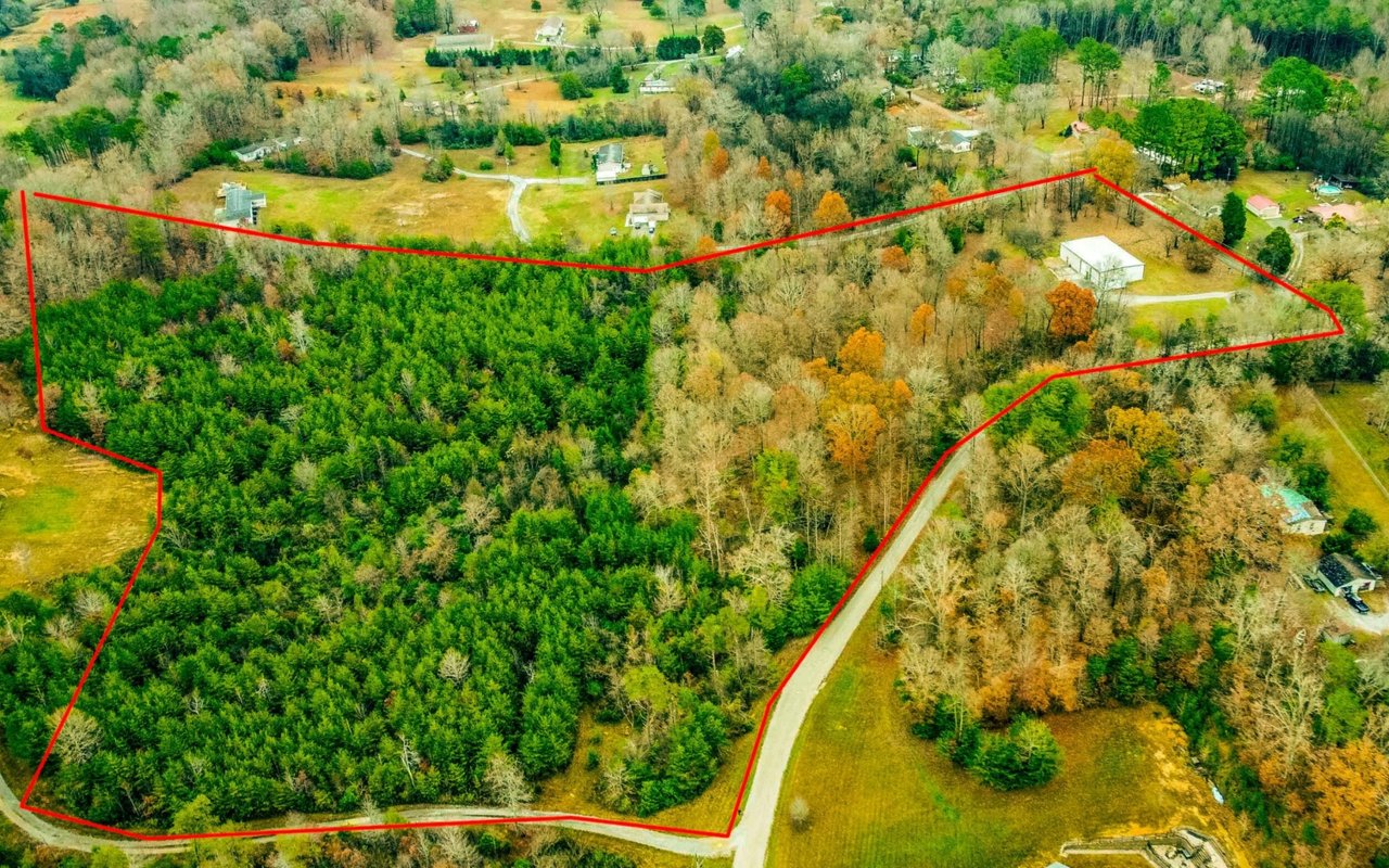 Wallace Luxury Spotlight | 8701 Trout Road Mascot, TN 37806
