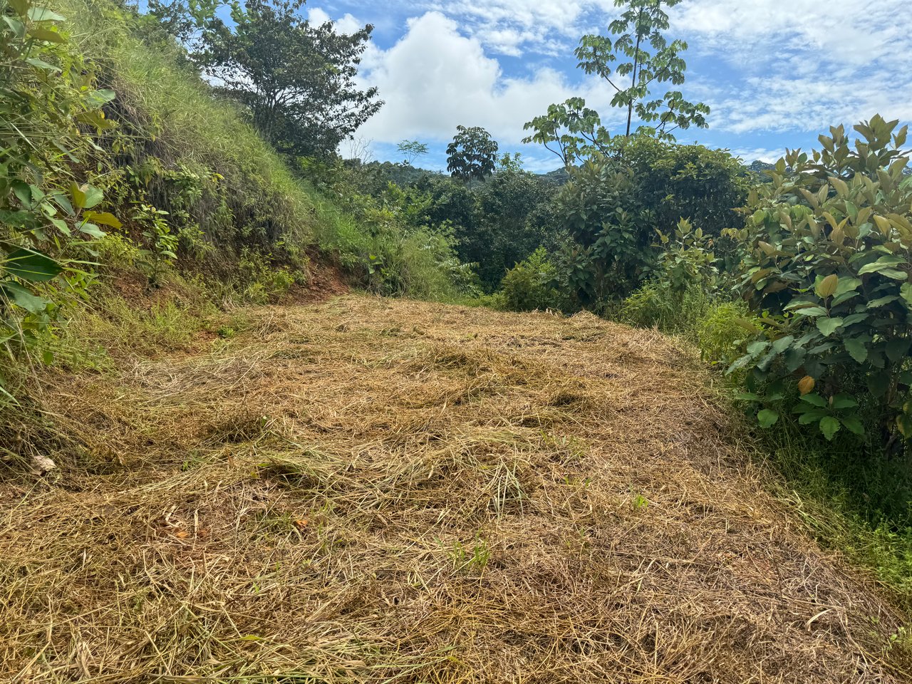 2.6 ACRES – 3 Bedroom Home With Beautiful Views, Several More Building Sites, Perfect For Small Farm!!!