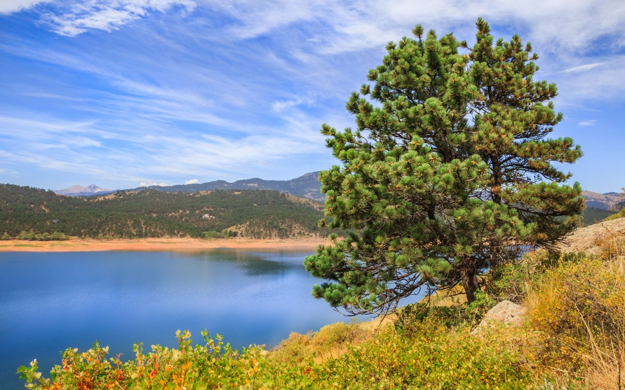 Loveland