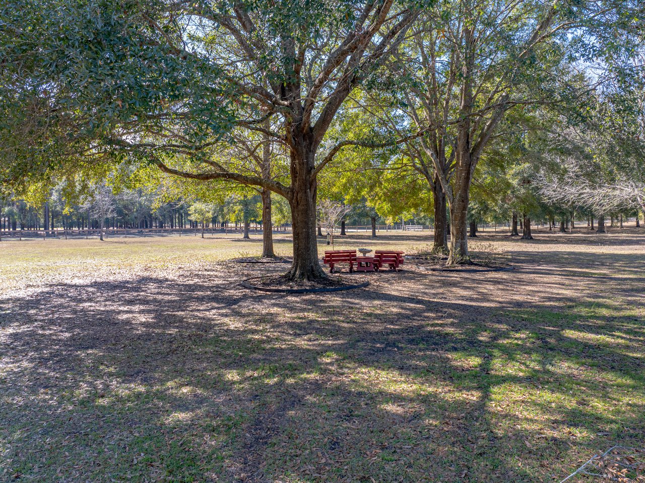35351 NINA SUE LN