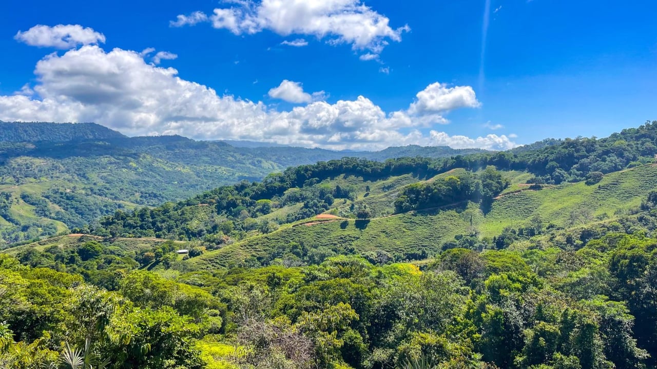 Boutique Hotel Rental Investment, Dominical, Puntarenas
