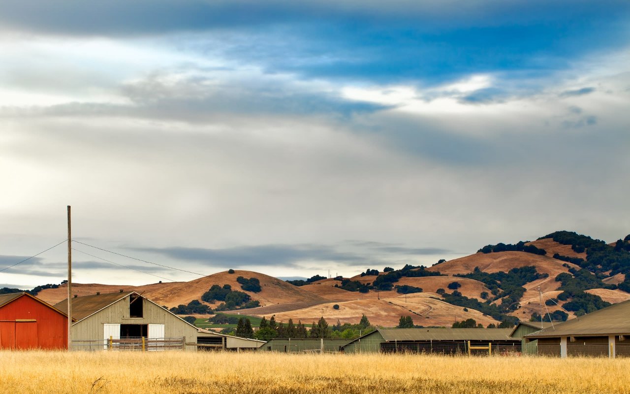Napa