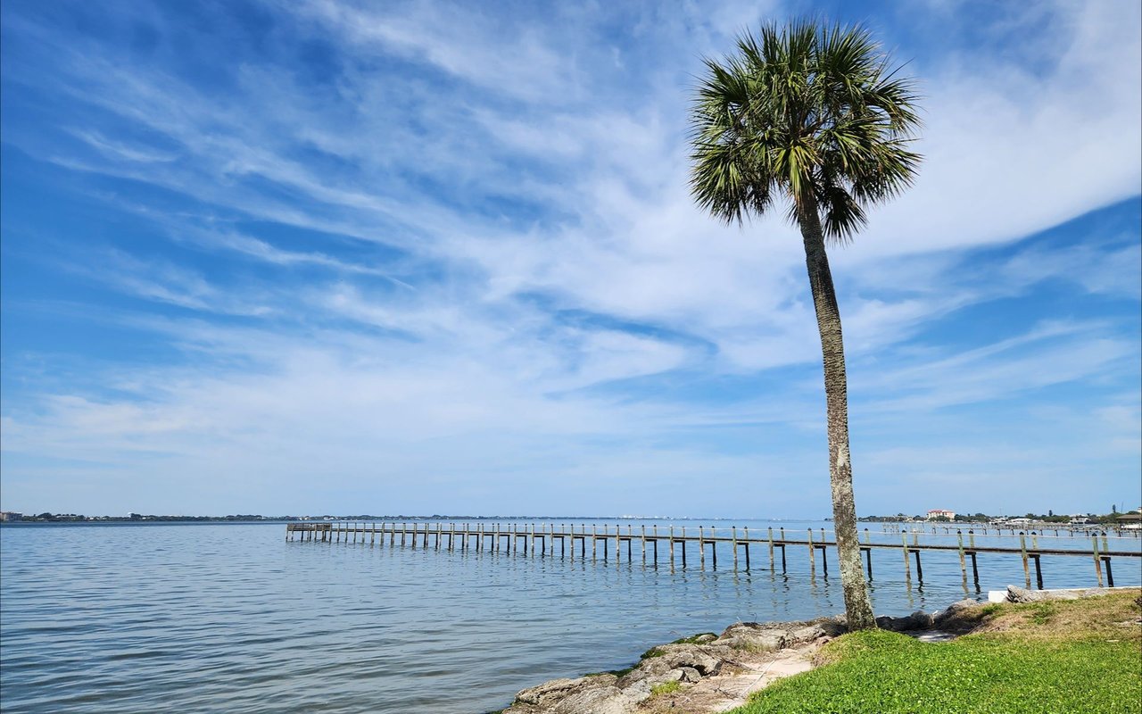 Calm waterfront with a long pier and palm tree in Melbourne Beach.