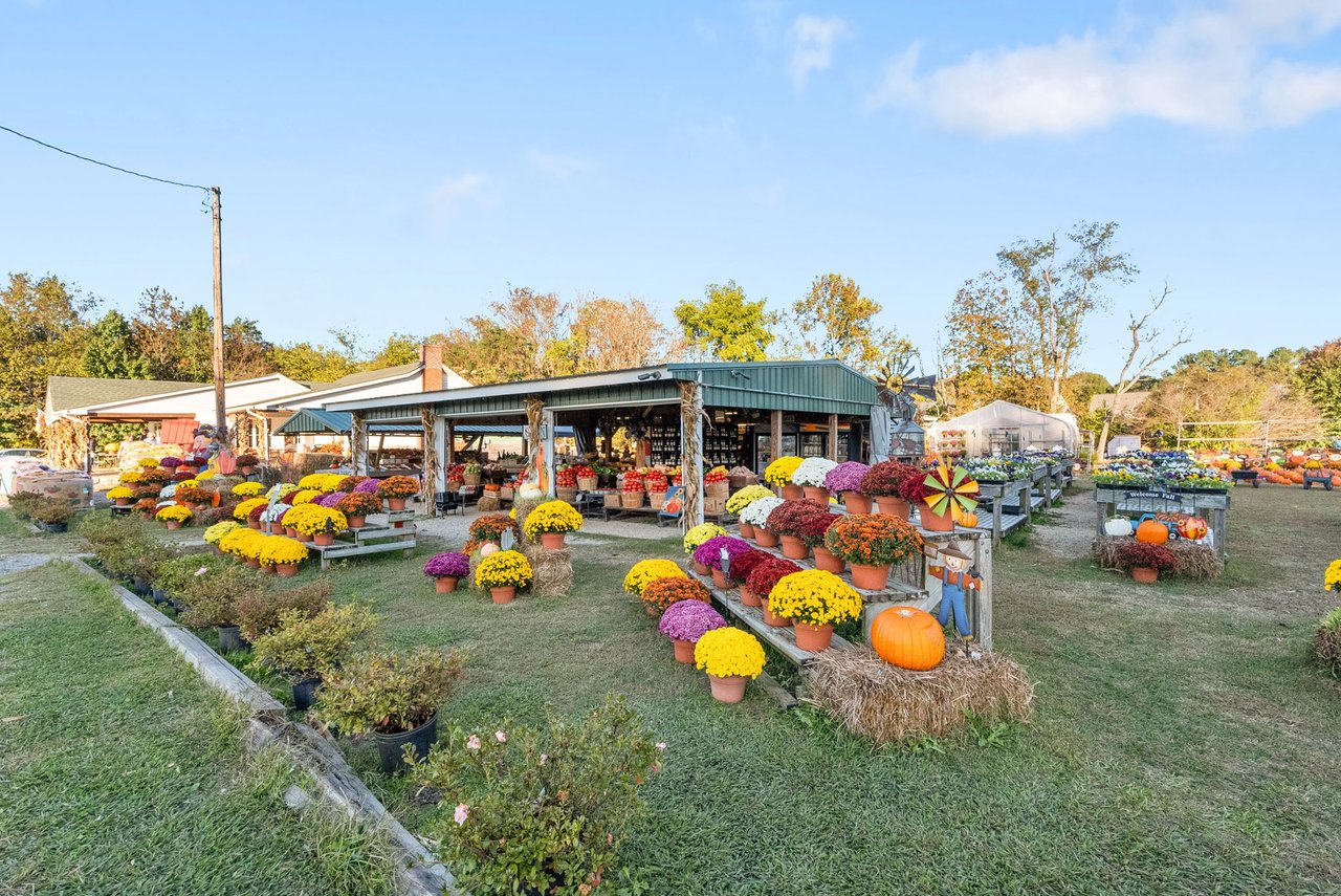 October in Richmond: The Best Fall Events, Local Favorites, and Must-See Seasonal Spots