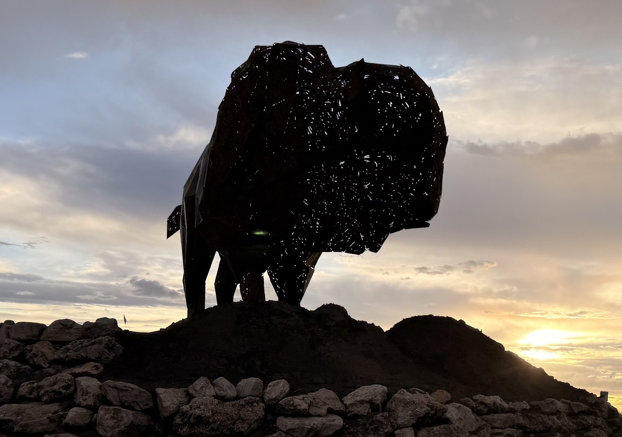 The Roundabout Bison Is a Preview, Not a Mascot