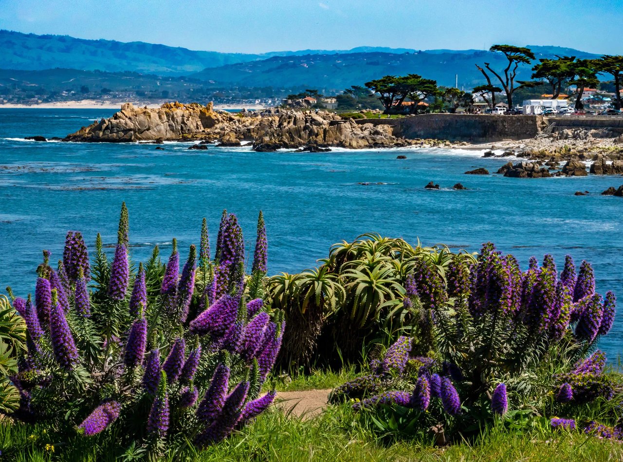 Pacific Grove