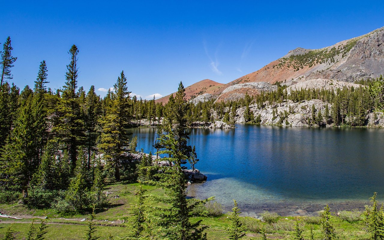 Cedarpines Park