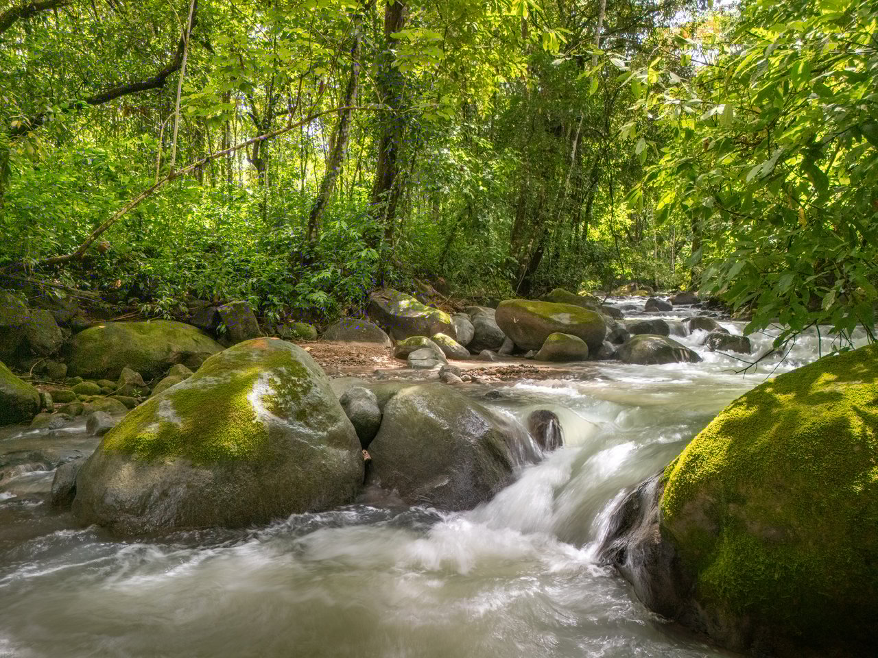 Plant Your Roots at Tierra Bendita! 2.5 Acres, River Frontage, 2 Bedroom Home, Private, Easy Access!