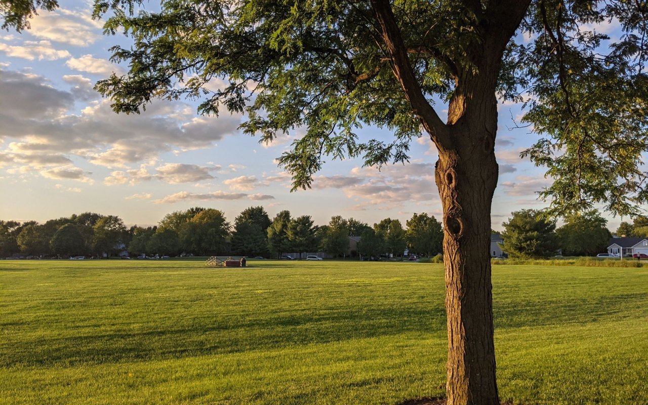 Grassy neighborhood park with a large shade tree and homes along the distant tree line.