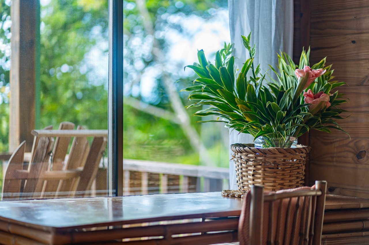 VILLA KRISTINA MARIA - 3.84 ACRES - PERLA DE BALLENA ESTATES