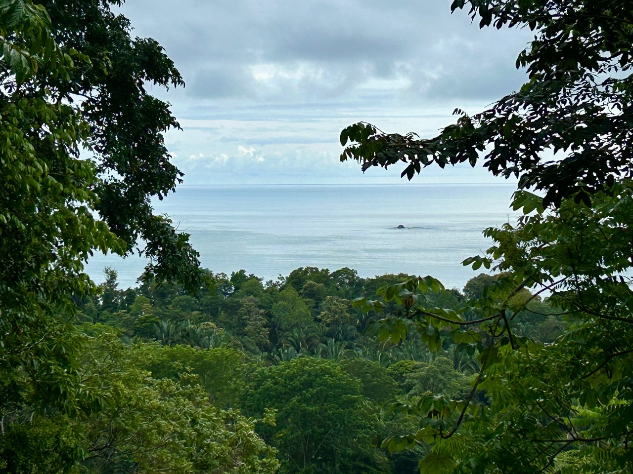 Ocean View Property in Playa Hermosa - Over 1 Acre