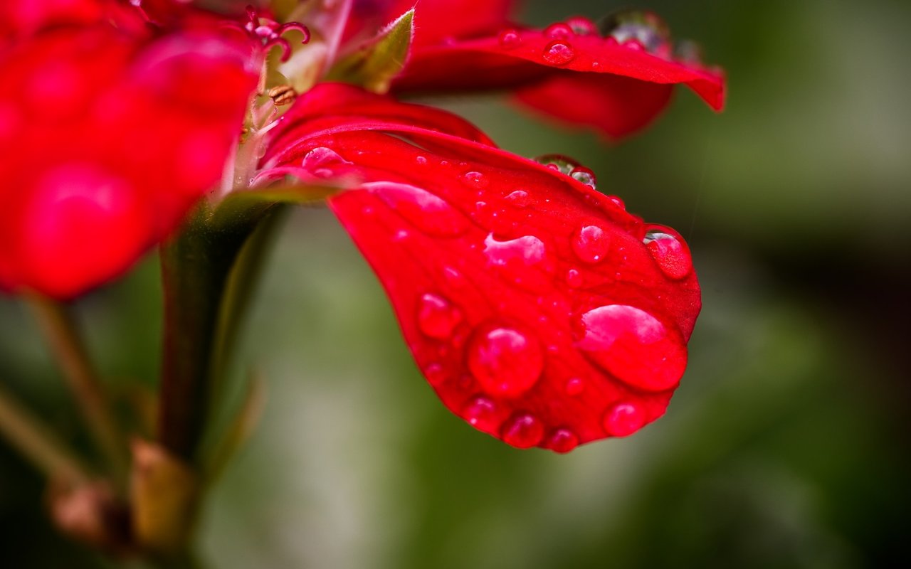 East Bay Showers Bring May Flowers