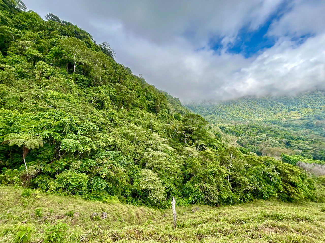 Gorgeous Land in San Luis Morete - Uvita - Over 17 Acres