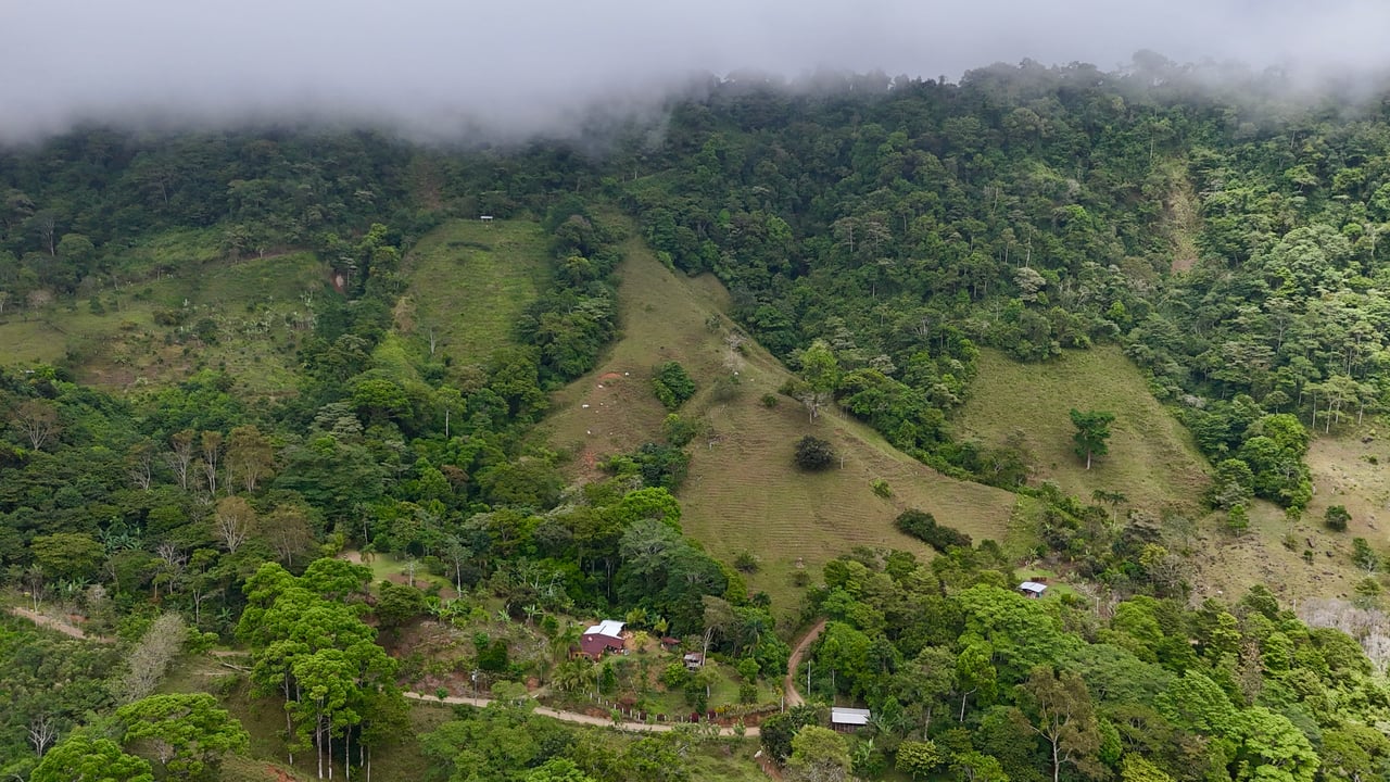Gorgeous Land in San Luis Morete - Uvita - Over 17 Acres