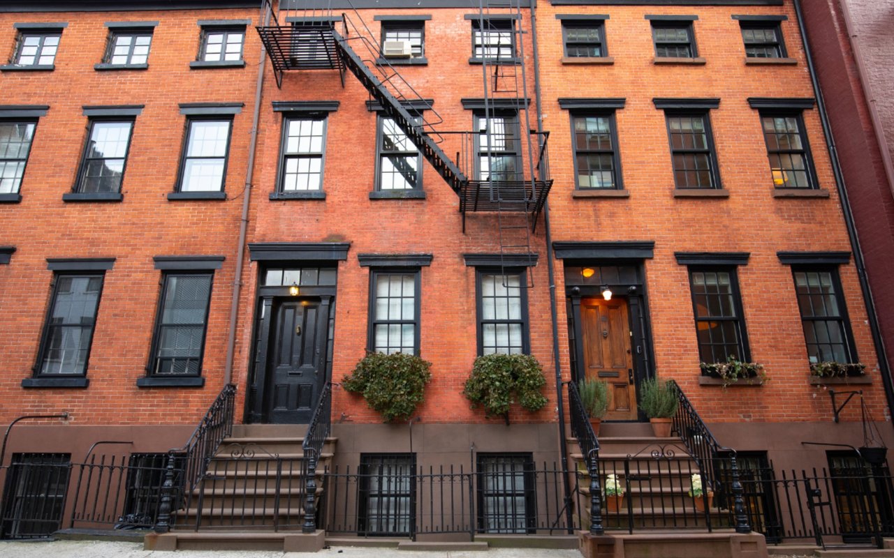 Best Indoor Plants For Your New York City Apartment