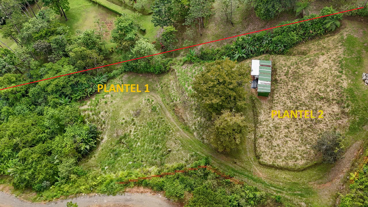 Jungle, Mountain & Valley View Lot with Two Large Plantels, Bordering a Crystal Mountain River with Swimholes & a Waterfall