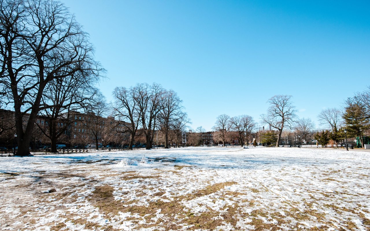 Bedford-Stuyvesant Neighborhood Guide