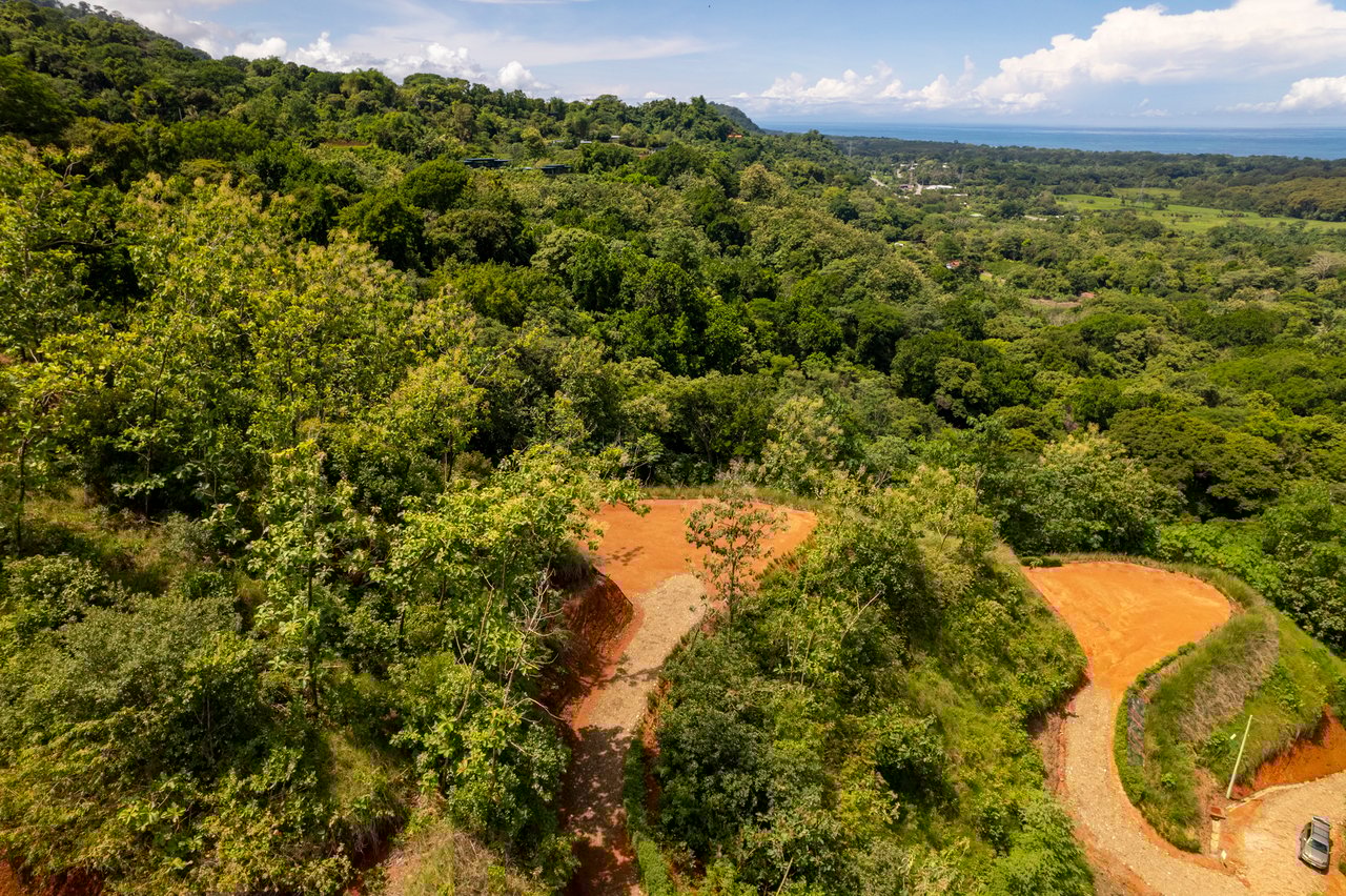 ¡New Gated Development in Matapalo - Ocean View and Flat Land, ready to build!