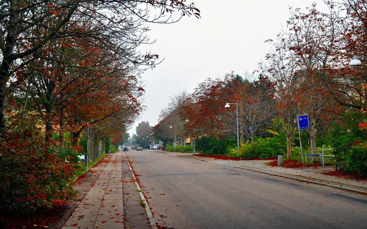 Carol Stream