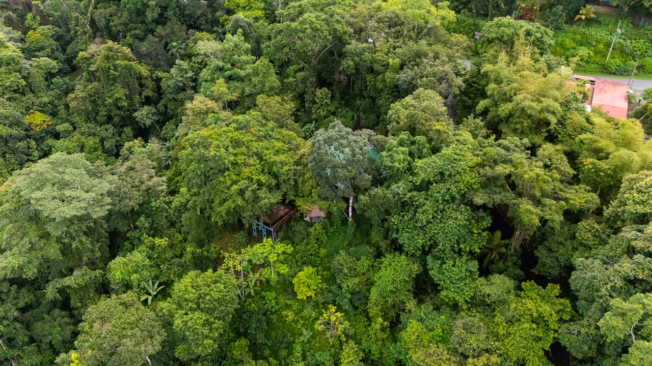 Where the Journey Begins | Private Jungle Estate at Nauyaca Waterfalls