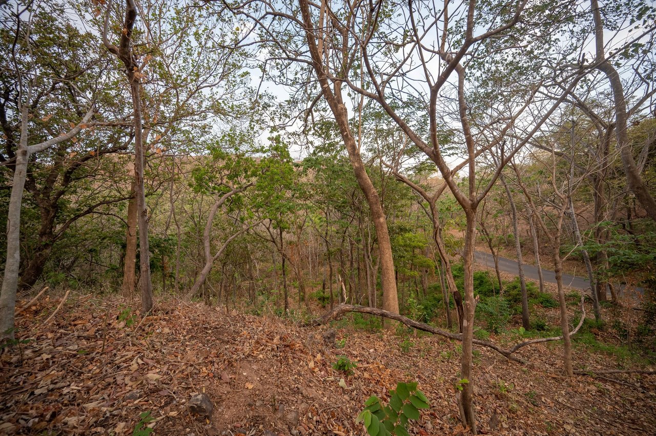 Upper Lot 7 - Palo Vista Development - Near Huacas