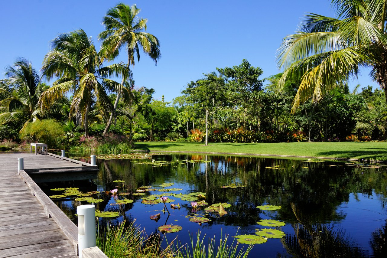 Beyond the Gates: A Resident's Guide to the Season Taking Shape Around The Isles of Collier Preserve