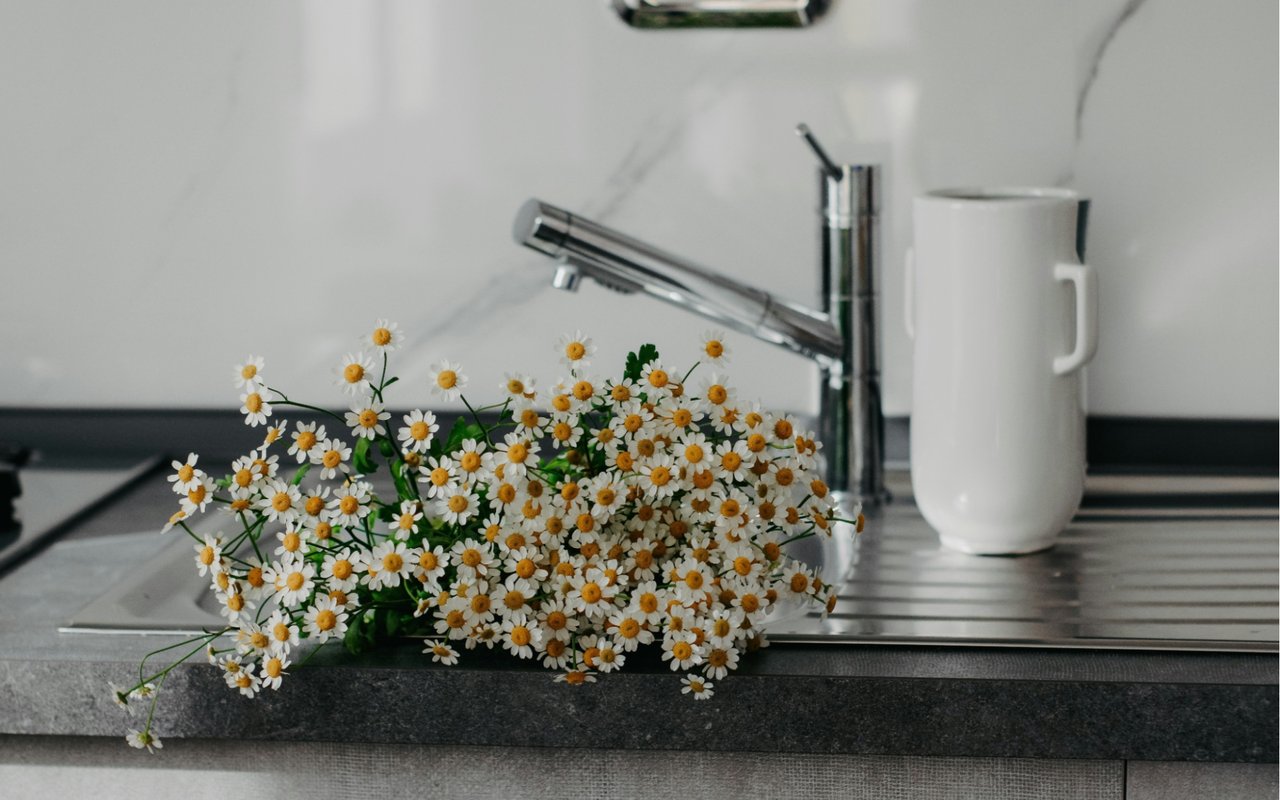 Seasonal Home Maintenance Checklist for Rancho Santa Fe Residents
