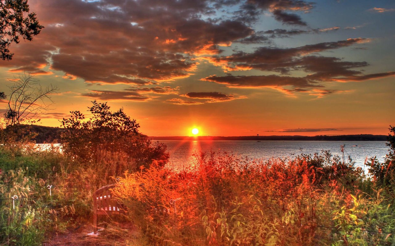 Sunset over a lake, framed by foreground grasses and silhouetted trees.