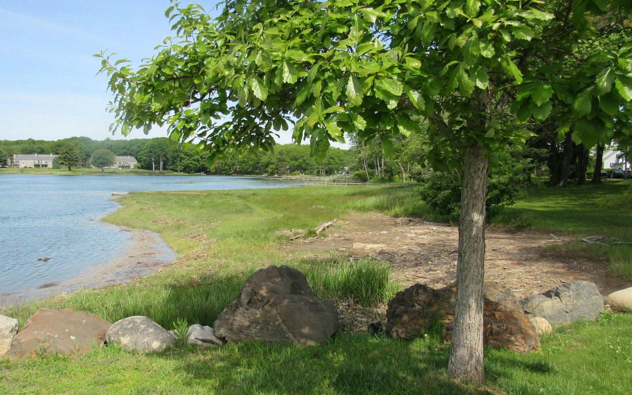 Tree-shaded lakeshore with rocks along the grassy bank and homes across the water.
