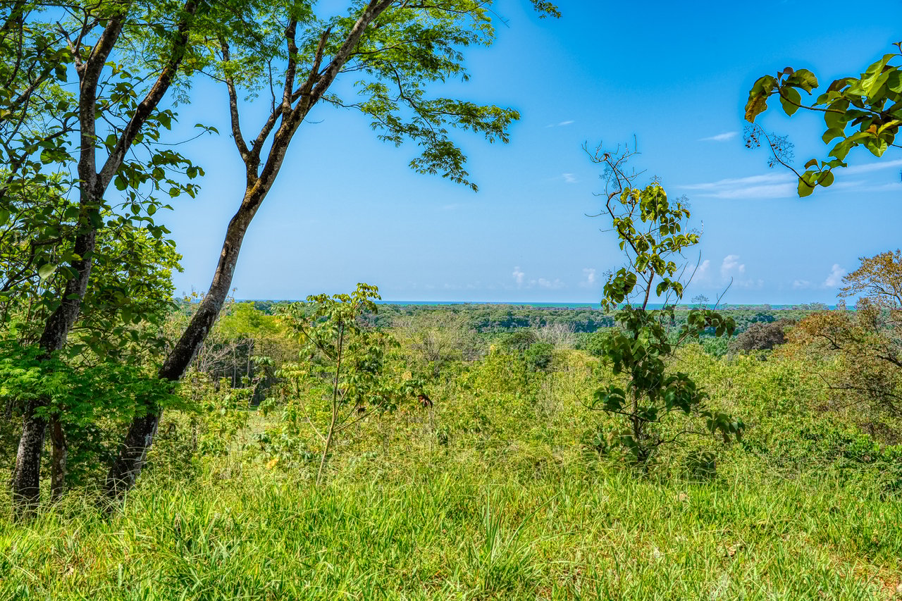 ¡New Gated Development in Matapalo - Ocean View and Flat Land, ready to build!