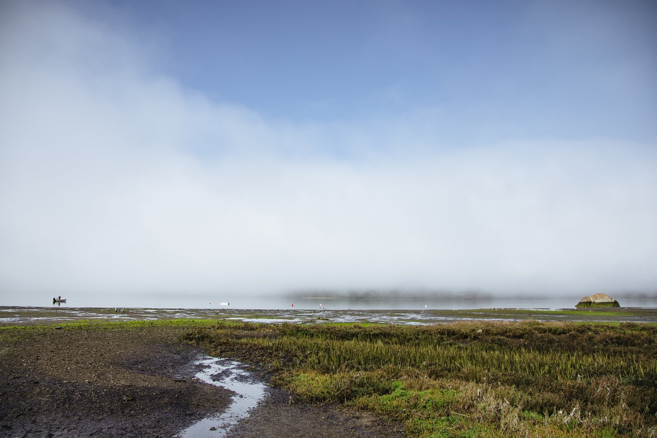 Fog hangs over a West Marin tidal marsh, with a small boat and rocky islet across the water.