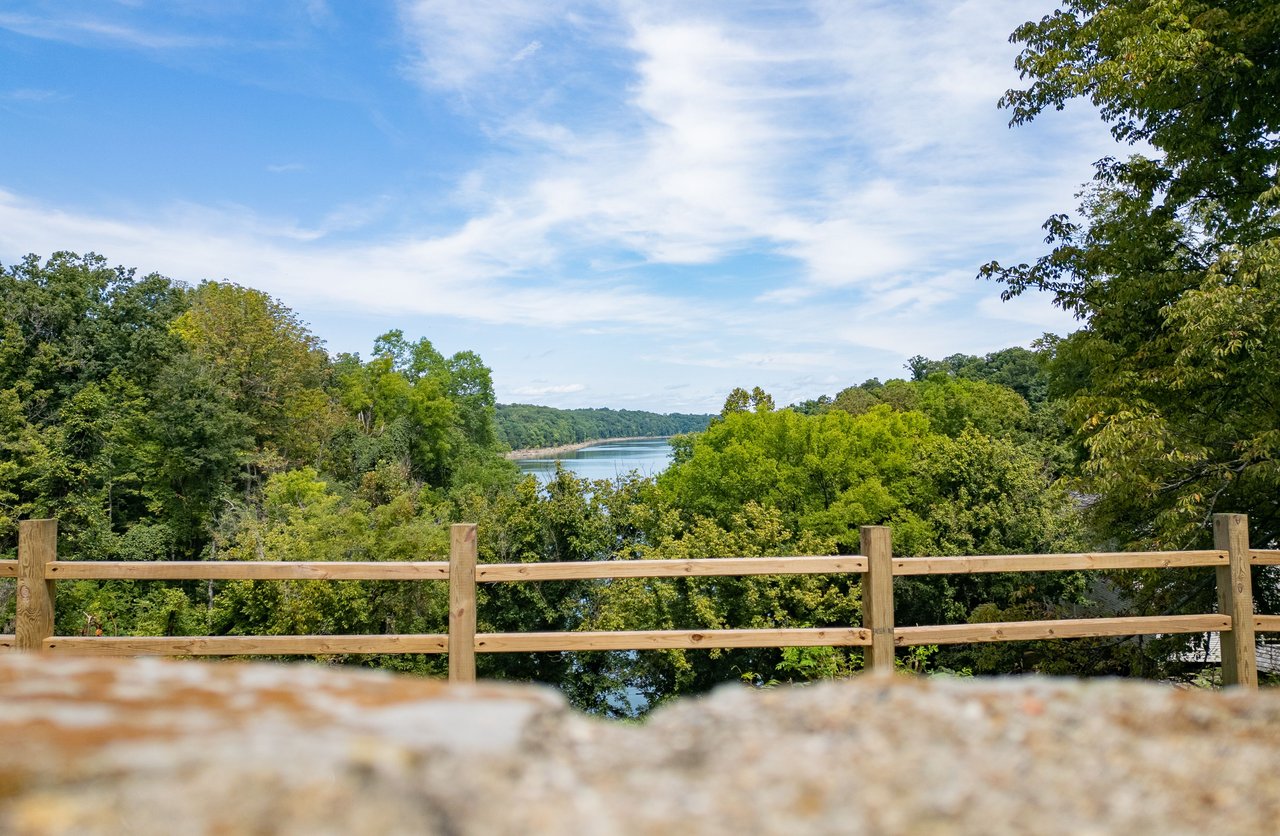 Lake beyond a wooden fence, framed by dense green trees.