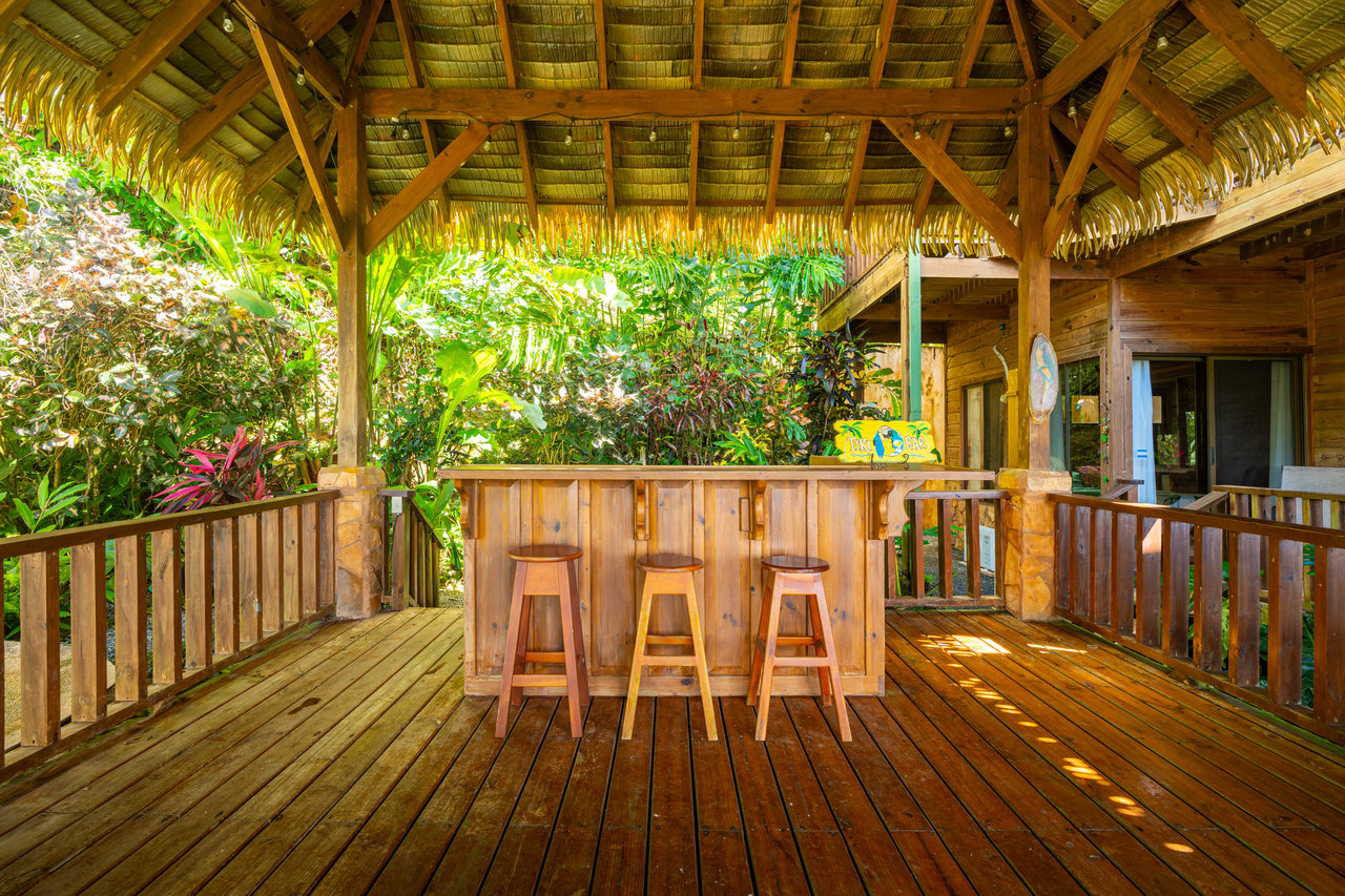 VILLA KRISTINA MARIA - 3.84 ACRES - PERLA DE BALLENA ESTATES