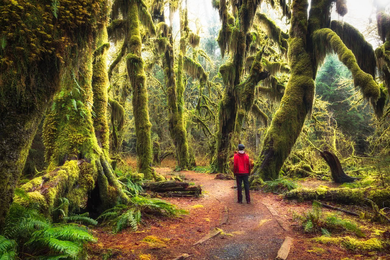 national parks near seattle washington